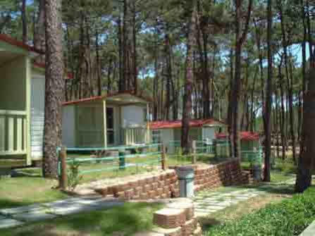 Orbitur Valado Bungalows Caravan Park Nazare Bagian luar foto