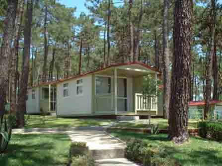 Orbitur Valado Bungalows Caravan Park Nazare Bagian luar foto